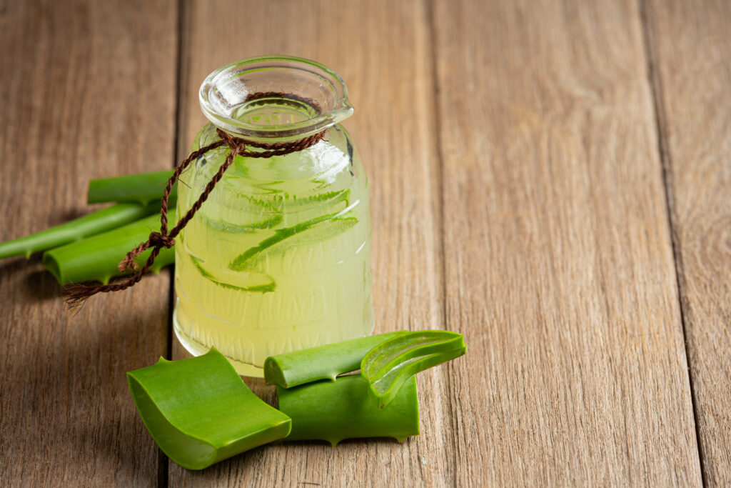aloe vera benefits & uses